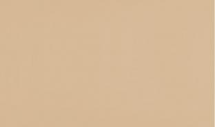 Панель матовая EVOGLOSS 18мм P008 Вижн