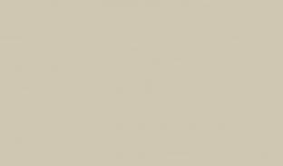 Кромка матовая 0,8х22 729 Новый серый Турция