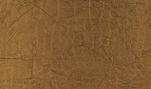 Панель глянцевая EVOGLOSS 18мм P216 Крокодил золотой