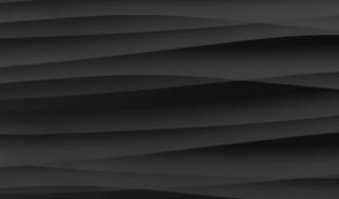 Панель глянцевая EVOGLOSS 18мм P235 Сахара чёрная