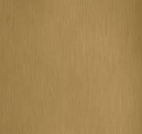 Панель матовая EVOGLOSS 10мм P268 Инокс золотой