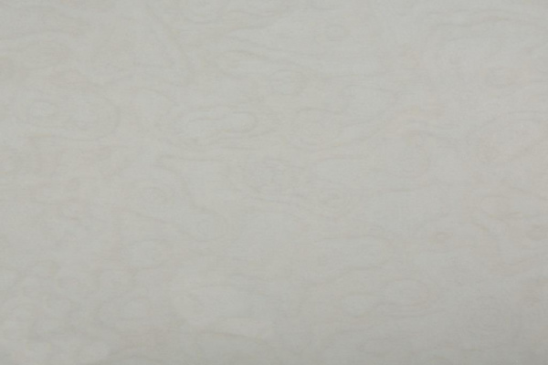 Столешница глянцевая 38х600х3000 Радика Белая