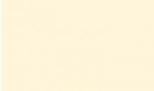 Панель глянцевая EVOGLOSS 8мм P101 Бьянко