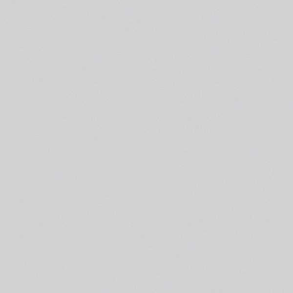 Панель матовая EVOSOFT 18мм EVS 012 Белое олово