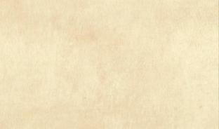 Панель глянцевая EVOGLOSS 18мм P674 Земляной латте