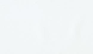 Панель глянцевая EVOGLOSS 10мм P241 Иллюзия белая