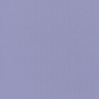 Щит матовый 6х600х3000 Венеция