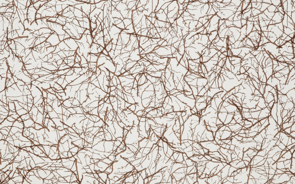 Кромка 50х3000 глянцевая Лесные ветви