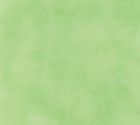 Профиль матовый 1003 Салатовый (301 Pastel yesil)