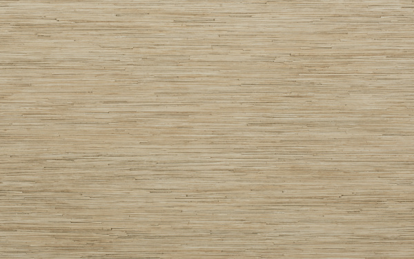 Щит матовый 6х600х3000 Тростник СНЯТ