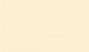 Панель глянцевая EVOGLOSS 10мм P102 Кремовый