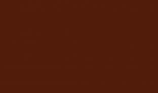 Панель глянцевая EVOGLOSS 18мм P108 Коричневый