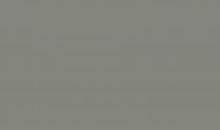 Панель матовая EVOGLOSS 10мм P003 Тёмно-серый