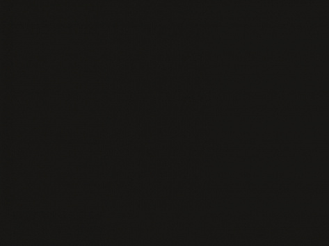 Панель матовая EVOGLOSS 16мм P006 Чёрный