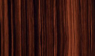 Панель глянцевая EVOGLOSS 10мм P300 Зебрано