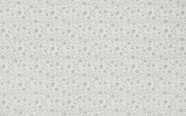 Щит матовый 6х600х3000 Серебряный Эдельвейс