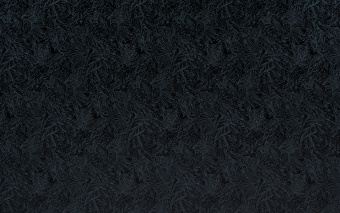 09751
