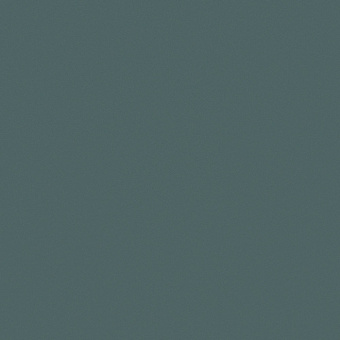 81010