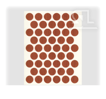 11006