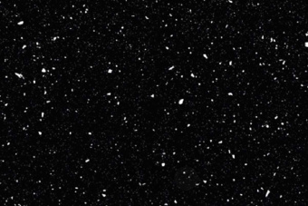 36602