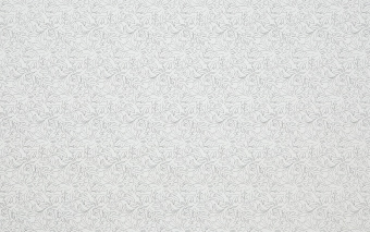 20851